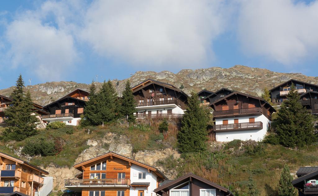 Harmony Eg Sued-Ost Apartment Bettmeralp Ngoại thất bức ảnh